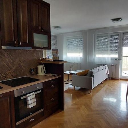Plavi Zec Daire Subotica Dış mekan fotoğraf