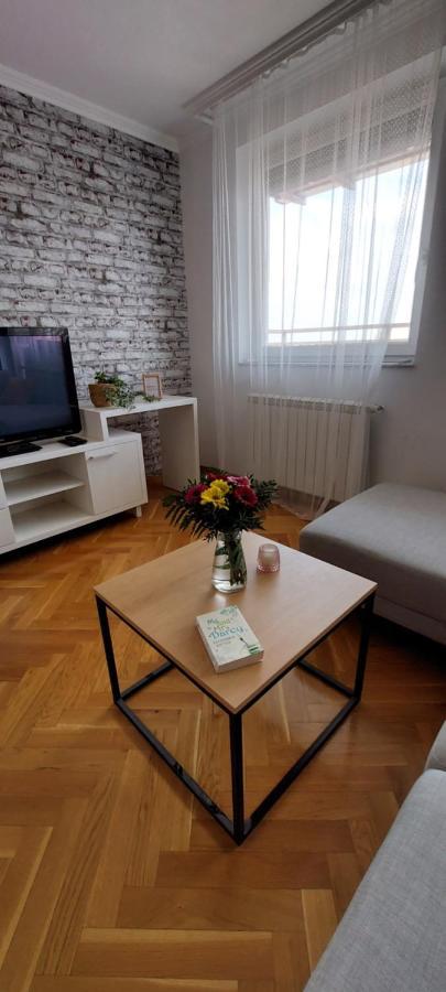 Plavi Zec Daire Subotica Dış mekan fotoğraf